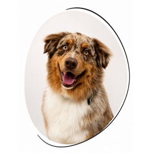 Haribo-the-pet-house https://thepethouse.ro/wp-content/uploads/2026/05/Fara-titlu-300-x-300-px-5-1.png