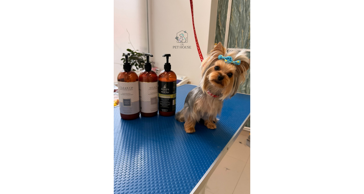 Grooming în stil asiatic: ce este și de ce face diferența