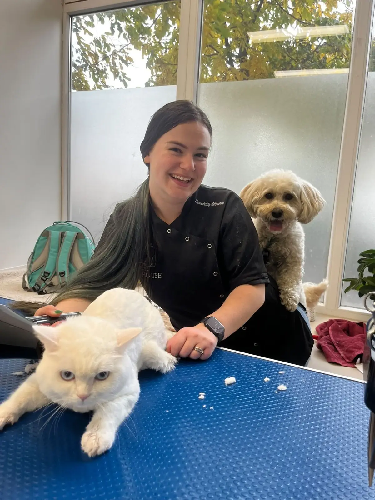 Miruna Trîmbițaș la masa de grooming din salonul The Pet House, cu o pisică albă și un cățel